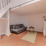 Loft Lumineux Authentique