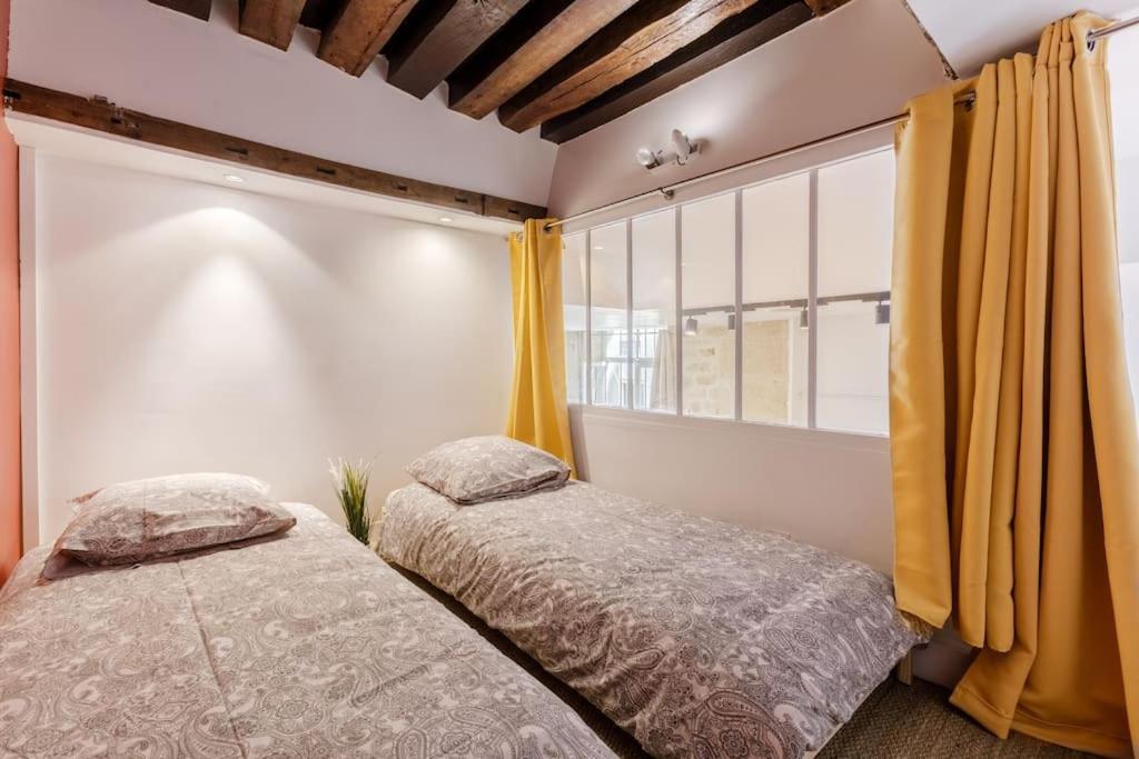 Loft Lumineux Authentique Parijs
